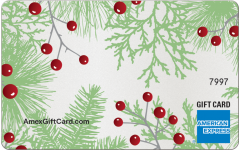American Express® Holly Berries Gift Card