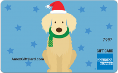 American Express® Puppy Santa Hat Gift Card
