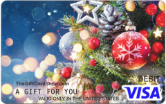 Visa® Magical Holiday Gift Card